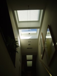 Rosenthal Skylights