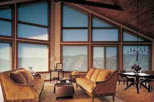 Silhouette® angle shade