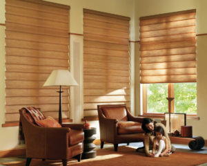 hunter douglas alustra vignette