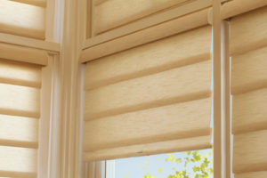 Hunter Douglas India Silk