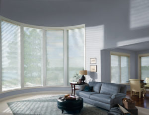 Hunter Douglas Sheers and Shadings