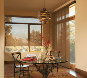 Hunter Douglas Roller Shades